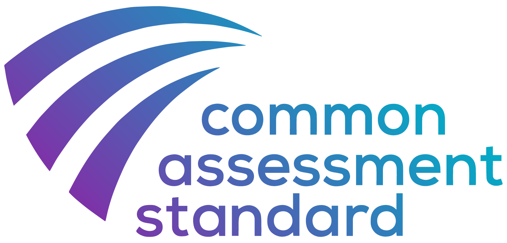 Logo for the Common Assessment Standard featuring waves in purple and blue, with the text "common assessment standard" beneath.