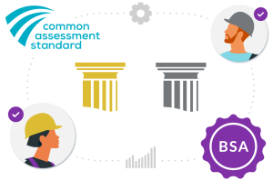 Graphic illustrating the Common Assessment Standard with pillars, worker icons, and BSA logo, showcasing assessment themes and collaboration.